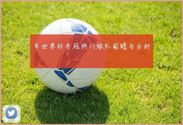 年世界杯夺冠热门球队前瞻与分析